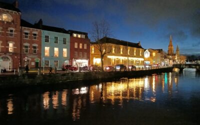 Les élèves de Bac Pro ASSP DNL à Cork