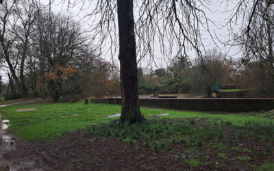 Semaine citoyenne des 3e PREPA METIERS