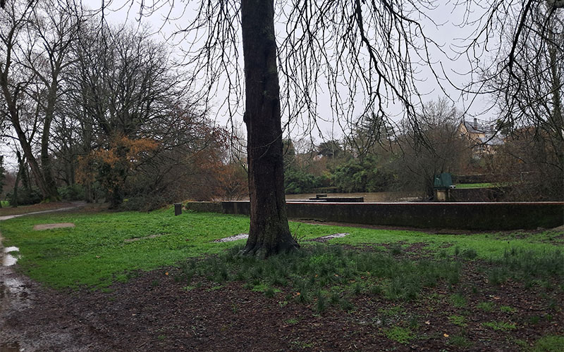 Semaine citoyenne des 3e PREPA METIERS